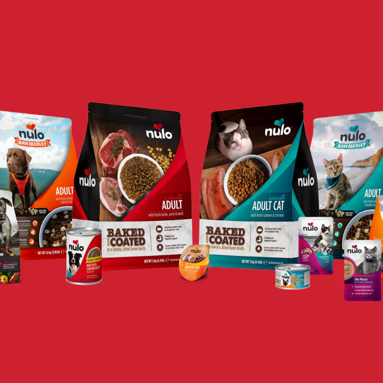 Nutrizione di livello mondiale per atleti amatoriali