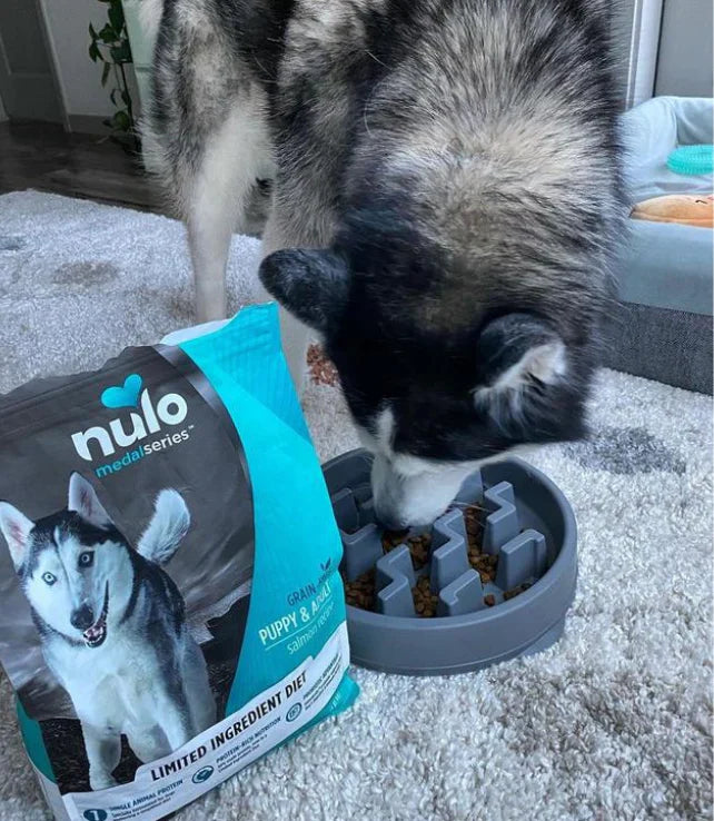 Cibo secco preferito